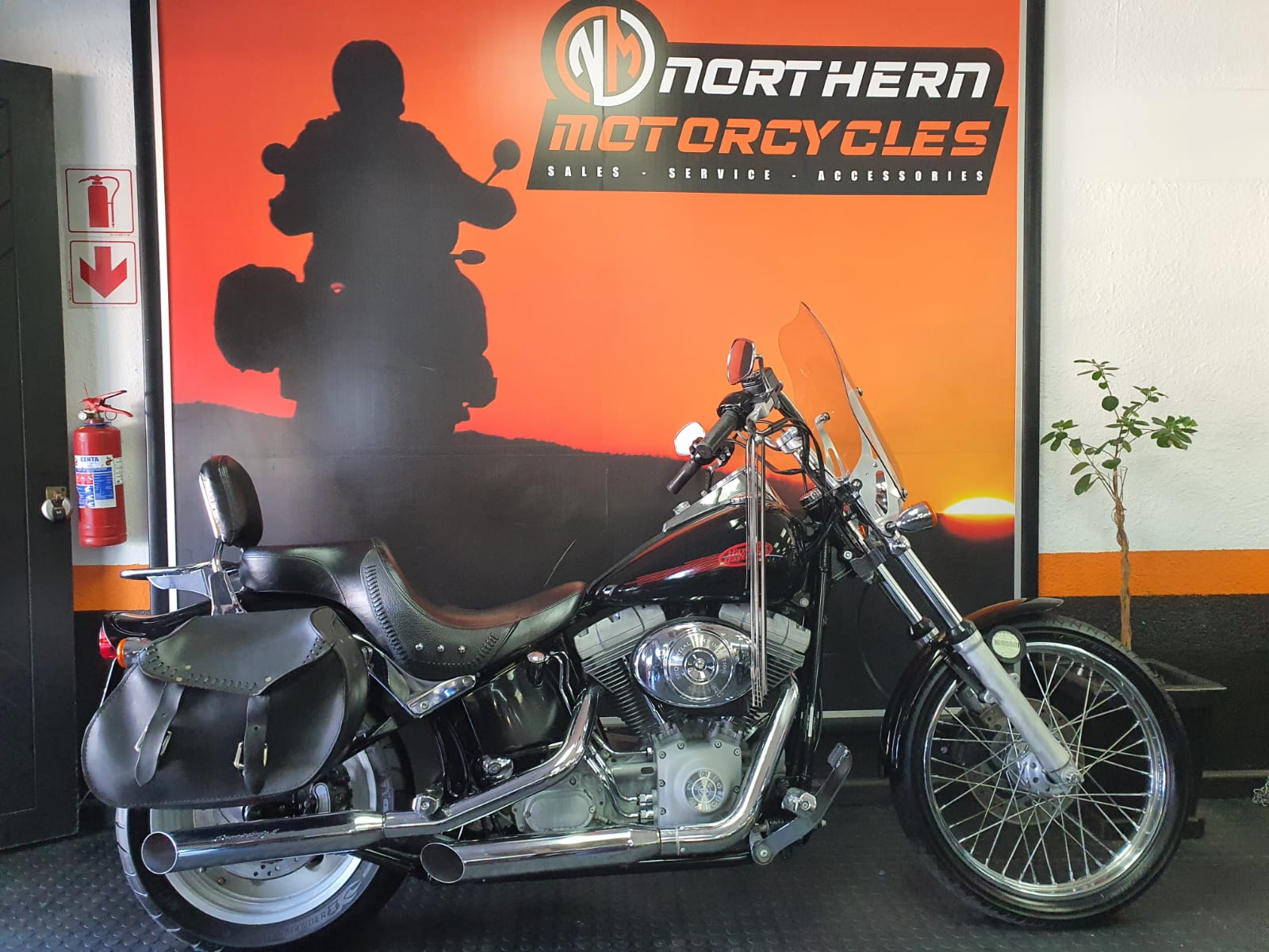 2006 Harley Davidson Softail Northern Motorcycles 2006-harley-davidson-softail-northern-motorcycles